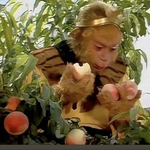 爱吃豆包的嘻嘻头像