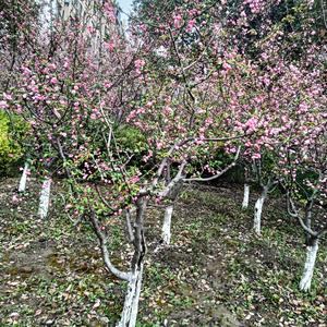 放下执念，好好生活头像