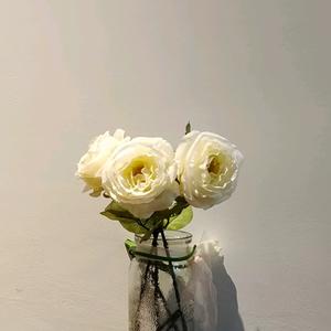 九州-小萝莉头像