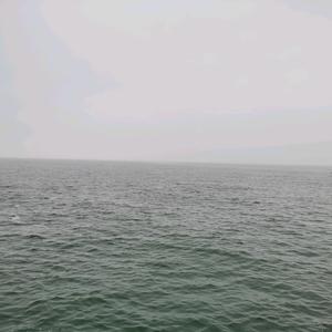 小草莓🍓米加头像