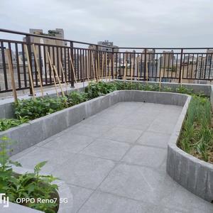 赵老头会找房头像