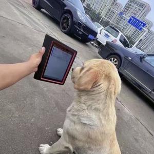 莱州车无忧汽车电子(招人)头像