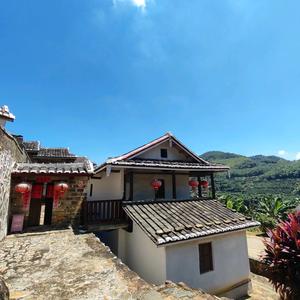 发哥去哪儿头像