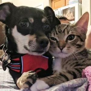 等日落下山坡头像