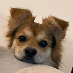 ADBABY艾德宝头像