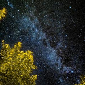 大头牙膏的抖音 - 抖音