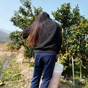 @瞿*香😀笑过哭过，也伤过头像