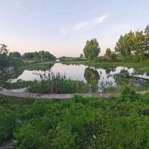 都要好好的头像