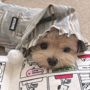 小夹心姐姐头像