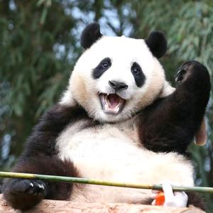 мǐл ♥мǐл头像