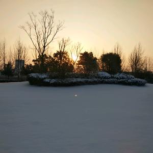 很远的地方不想去头像