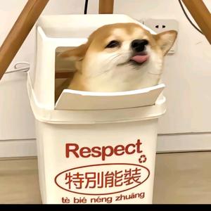 🌈这我可就不困了嗷头像