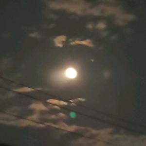 判官跑八分配头像