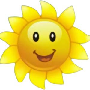 本宫是太阳头像