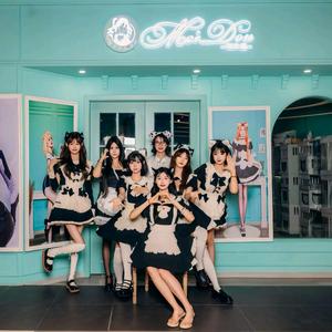 MEIDOU•动漫女主的万事屋头像