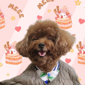 阿圆和皮壹奥头像