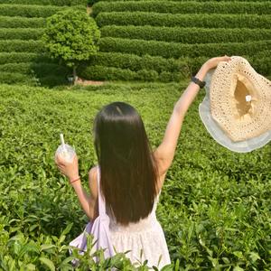 路过一只猫头像