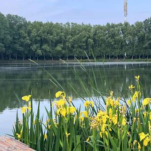 与你相冯        为你停刘头像