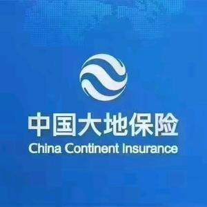 中国大地保险头像