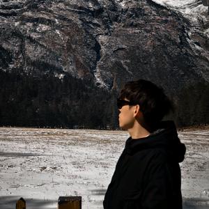 隔壁有只鹅头像