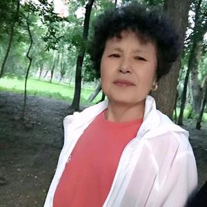 牡丹花 🌸头像