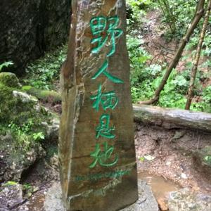 人类迷惑行为质检员头像