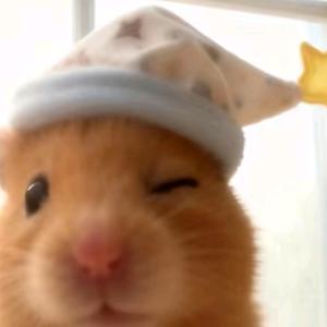 🌈每天睡到12点头像