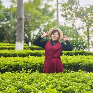 空城只有旧梦在头像