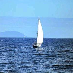 孤帆远影🇨🇳头像