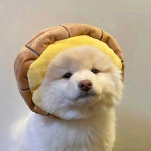 黑心荔枝冻头像