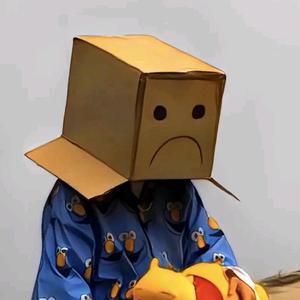 双月映辉🌑头像