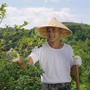 老赵的茶油日记头像