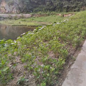 6：；/6开（%头像