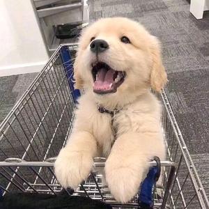 时尚古典🧣（笑你三姑爹）头像