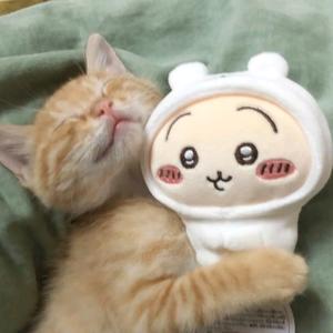 你有我帅吗        🪳头像