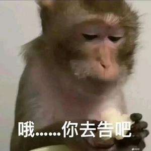 乔豆麻袋头像