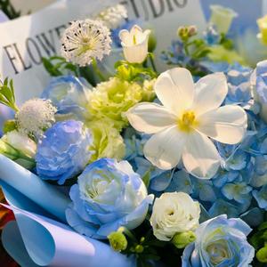 浅蓝而蓝<人生如戏>头像