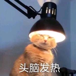 三行四列行列式头像