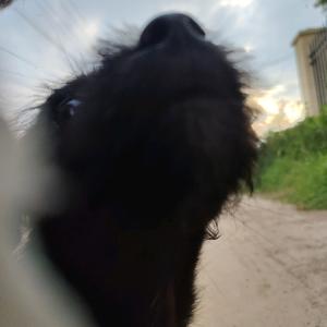 不吃辣椒皮头像