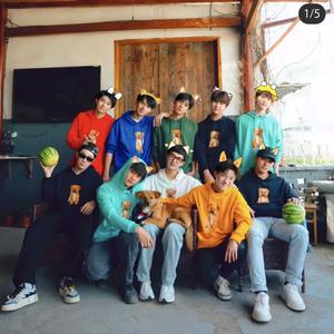 后陡门宝贝科科长头像