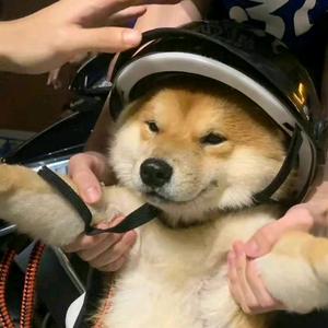 梧桐明_ming头像