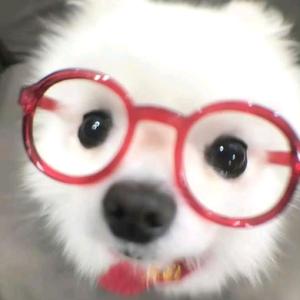 是七七呢头像