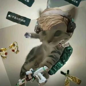 汤汤（三角洲行动）头像