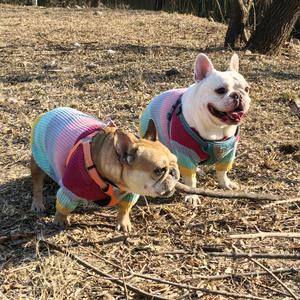 芒果小迷糊头像