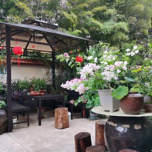 伟哥小院💓头像