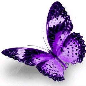 ꧁ 浅笑嫣然ღ꧂头像