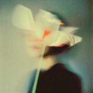 风花雪邂逅情歌头像