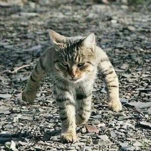 孟婆 来碗汤头像