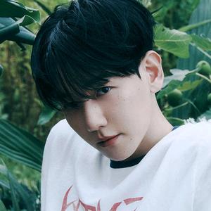 汉南洞的秦绾秋头像