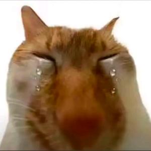 丑陋哥布林头像